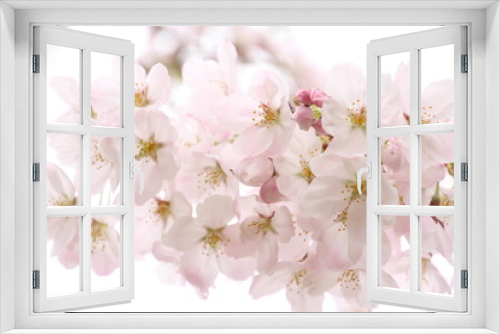 Fototapeta Naklejka Na Ścianę Okno 3D - ふくふく地蔵の桜