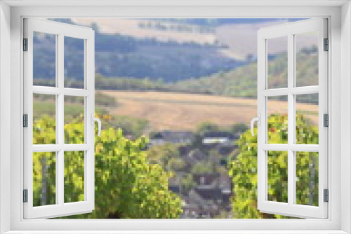 Fototapeta Naklejka Na Ścianę Okno 3D - Vigne de Bourgogne - Irancy