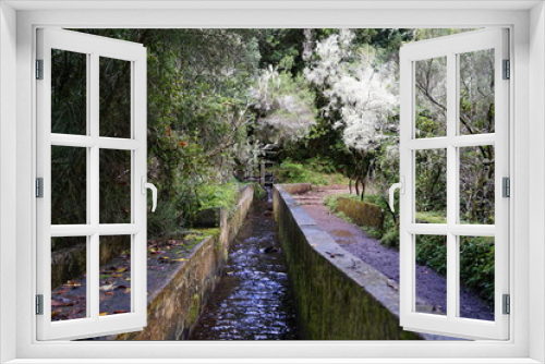 Fototapeta Naklejka Na Ścianę Okno 3D - Levada - Ribeiro Frio