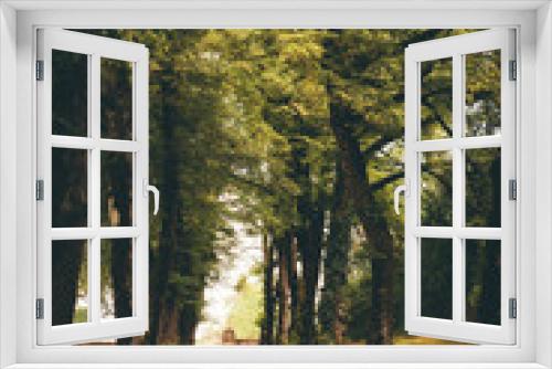 Fototapeta Naklejka Na Ścianę Okno 3D - allée d'arbres vers un portail