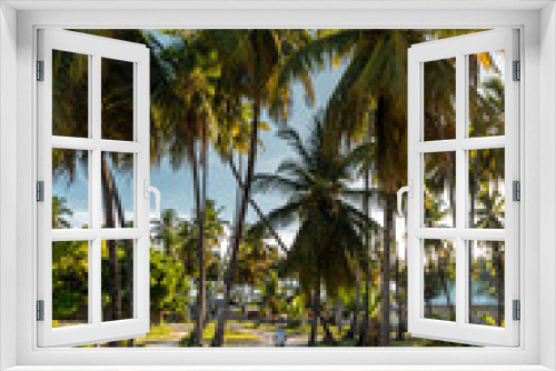 Fototapeta Naklejka Na Ścianę Okno 3D - Sandy path and palm trees