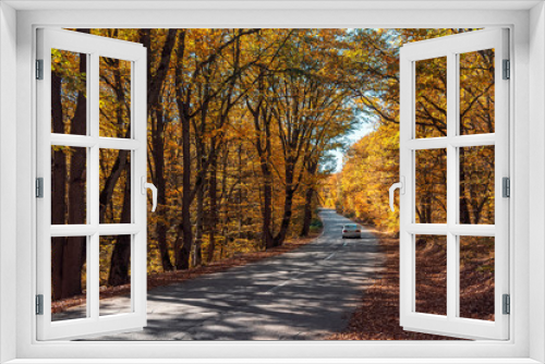 Fototapeta Naklejka Na Ścianę Okno 3D - Road among yellow autumn mountain forest