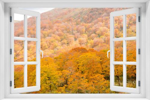 Fototapeta Naklejka Na Ścianę Okno 3D - 秋色　栗駒須川湖の紅葉
