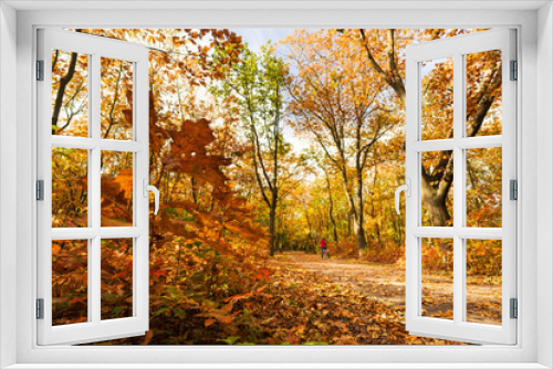 Fototapeta Naklejka Na Ścianę Okno 3D - Jesienny krajobraz kolorowe liście