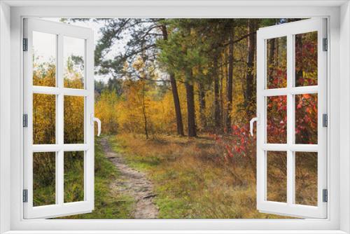 Fototapeta Naklejka Na Ścianę Okno 3D - Walkway in a beautiful autumn forest