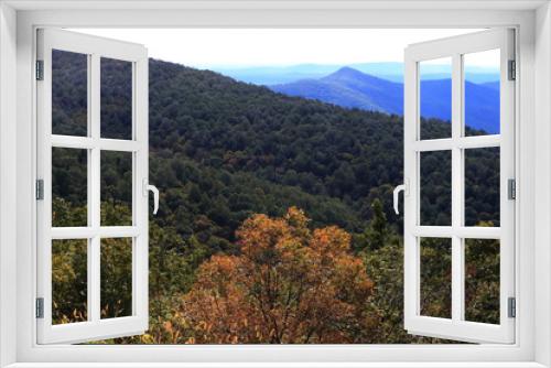 A scenery in the Shenandoah National Parks