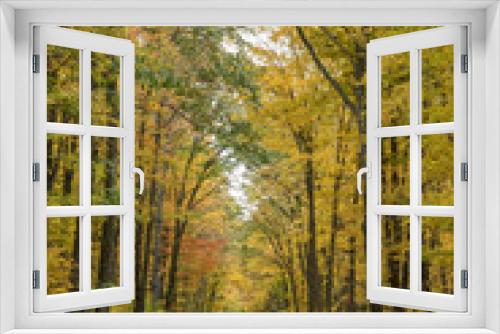 Fototapeta Naklejka Na Ścianę Okno 3D - Drive through the backroads of Western Pennsylvania during the peak of fall foliage.