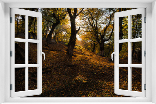 Fototapeta Naklejka Na Ścianę Okno 3D - Beautiful landscape with empty road, trees and sunlight in the evening in autumn. Travel background. Nature