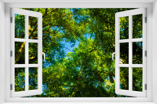Fototapeta Naklejka Na Ścianę Okno 3D - paisaje