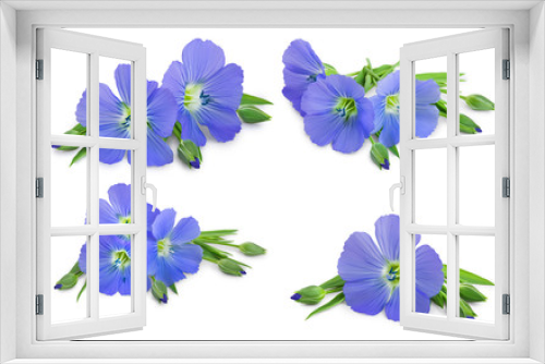 Fototapeta Naklejka Na Ścianę Okno 3D - Set or collection flax blue flowers closeup isolated on white background.