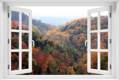 Fototapeta Naklejka Na Ścianę Okno 3D - Magnificent colors of Canadian autumn 