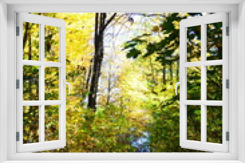 Fototapeta Naklejka Na Ścianę Okno 3D - Autumn. Fall. Autumnal Park. Autumn Trees and Leaves in sun light