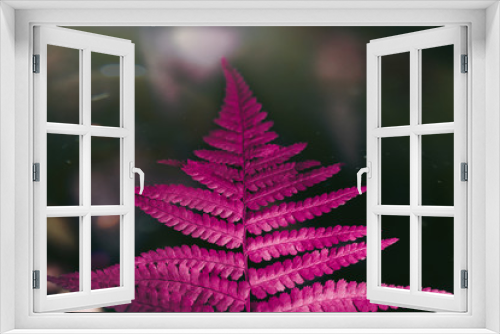 Fototapeta Naklejka Na Ścianę Okno 3D - Pink fern neon Glow plant Fluorescent nature