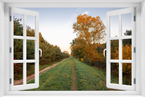 Fototapeta Naklejka Na Ścianę Okno 3D - Autumn walk 