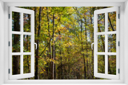 Fototapeta Naklejka Na Ścianę Okno 3D - Autumn in Virginia