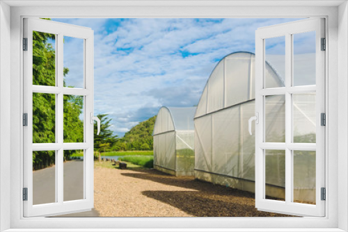 Fototapeta Naklejka Na Ścianę Okno 3D - Domed Greenhouse or tunnel for young plants growing nursery house in a farm.