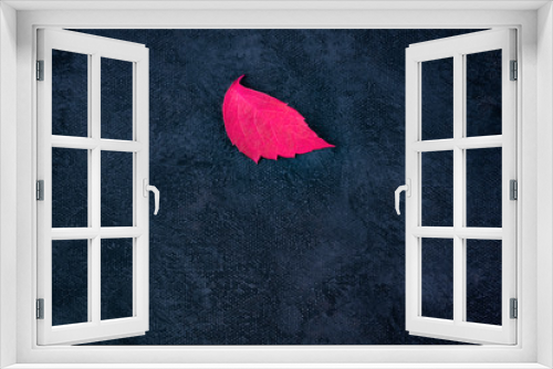 Fototapeta Naklejka Na Ścianę Okno 3D - A red autumn leaf on a dark background, an abstract autumnal design template with copy space