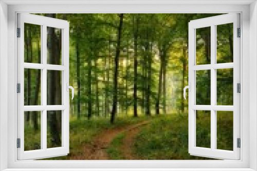 Fototapeta Naklejka Na Ścianę Okno 3D - Trail across dreamy autumn forest