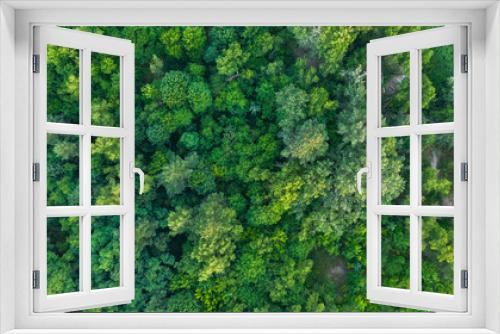 Fototapeta Naklejka Na Ścianę Okno 3D - Aerial top-down view of the drone on the green forest in summer sunny day. Natural foliage background.