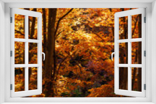 Fototapeta Naklejka Na Ścianę Okno 3D - beautiful background of golden autumn forest