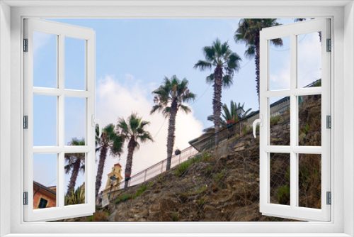Fototapeta Naklejka Na Ścianę Okno 3D - Palms on a cliff along a street in Bogliasco, Italy