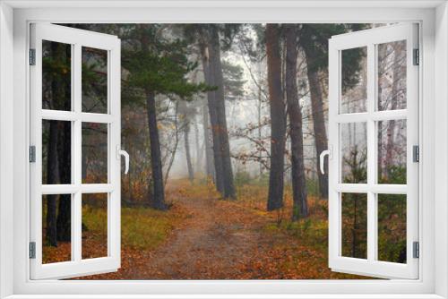 Fototapeta Naklejka Na Ścianę Okno 3D - Forest. Autumn fogs. Autumn colors.