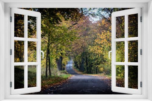 Fototapeta Naklejka Na Ścianę Okno 3D - Złota jesień 