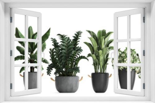 Fototapeta Naklejka Na Ścianę Okno 3D -  tropical plants on white background