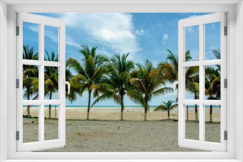 Fototapeta Naklejka Na Ścianę Okno 3D - palm trees on the beach