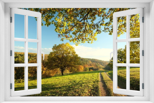 Fototapeta Naklejka Na Ścianę Okno 3D - Herbstweg