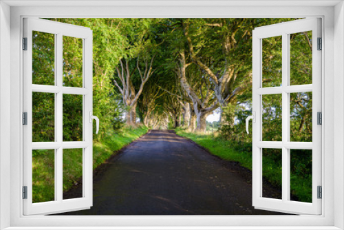 Fototapeta Naklejka Na Ścianę Okno 3D - Irlanda - The Dark Hedges
