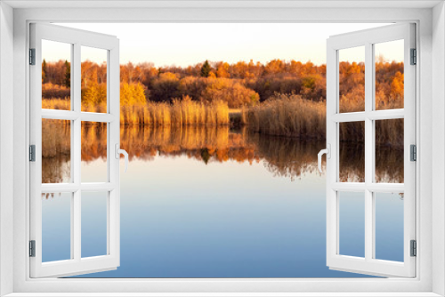 Fototapeta Naklejka Na Ścianę Okno 3D - Beautiful calm landscape with reed grass on a background of a quiet evening lake and autumn forest in the distance