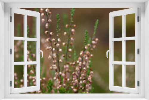 Fototapeta Naklejka Na Ścianę Okno 3D - Simplicity of Nature