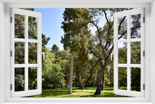 Fototapeta Naklejka Na Ścianę Okno 3D - garden of the Retiro Park in Madrid. Spain. Europe. September 18, 2019