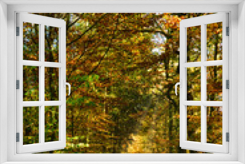 Fototapeta Naklejka Na Ścianę Okno 3D - Forest path through an autumn forest, colorful leaves on the ground, framed by trees and bushes with colored leaves, bright colors, lights and shadows