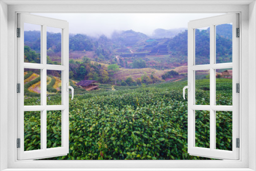 Fototapeta Naklejka Na Ścianę Okno 3D - Green tea plantation field on mountain hill
