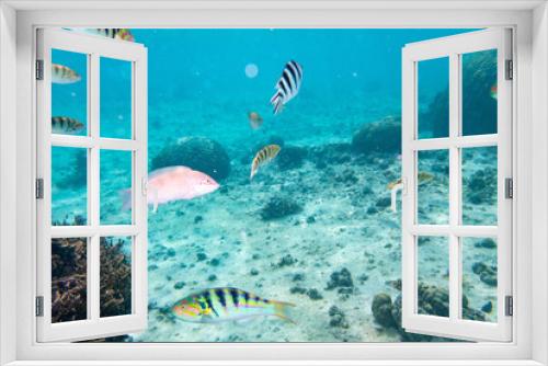 Fototapeta Naklejka Na Ścianę Okno 3D - 宮古島の美しい海と風