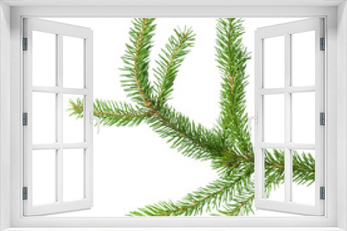 Fototapeta Naklejka Na Ścianę Okno 3D - Small green spruce branch isolated on white background