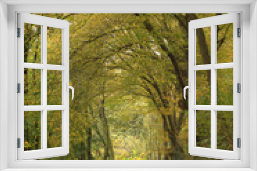 Fototapeta Naklejka Na Ścianę Okno 3D - autumn forest way