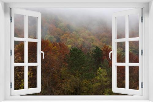 Fototapeta Naklejka Na Ścianę Okno 3D - The forest in wet autumn day, low Clouds and fog among the trees