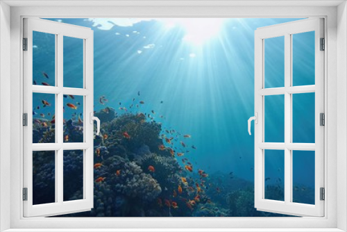 Fototapeta Naklejka Na Ścianę Okno 3D - Life-giving sunlight underwater. Sun beams shinning underwater on the tropical coral reef. Ecosystem and environment conservatio