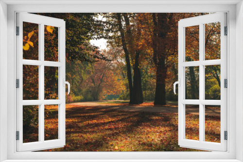 Fototapeta Naklejka Na Ścianę Okno 3D - Beautiful autumn landscape with pleasant warm sunny light. Picture taken in Bad Muskau park, Saxony, Germany. UNESCO World Heritage Site.