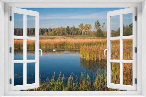 Fototapeta Naklejka Na Ścianę Okno 3D - A pond on a sunny autumn day near Piaseczno, Masovia, Poland