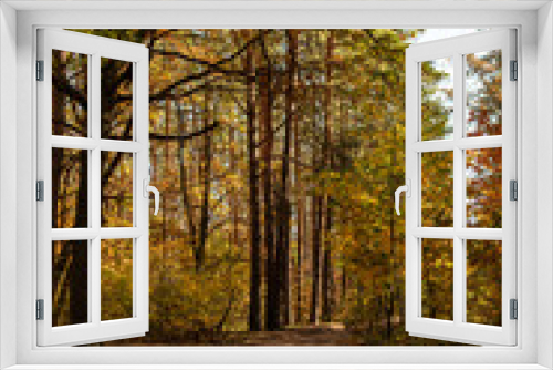 Fototapeta Naklejka Na Ścianę Okno 3D - scenic autumnal forest with wooden trunks and path in sunlight