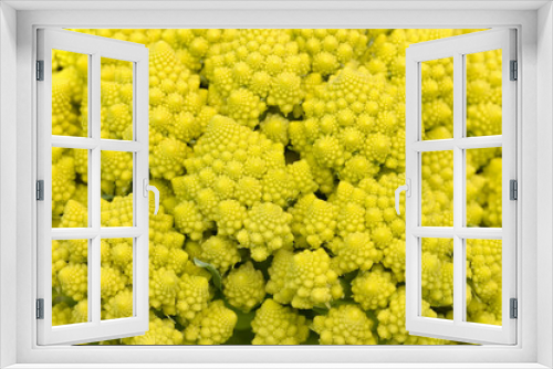Fototapeta Naklejka Na Ścianę Okno 3D - Broccoli Romanesco - Broccoli Nutrient Varieties