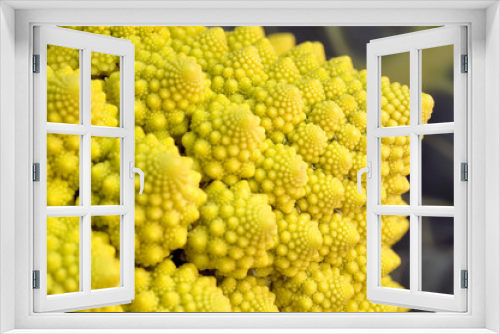 Fototapeta Naklejka Na Ścianę Okno 3D - Broccoli Romanesco - Broccoli Nutrient Varieties