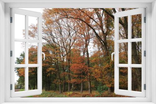 Fototapeta Naklejka Na Ścianę Okno 3D - Herbstliche Landschaft