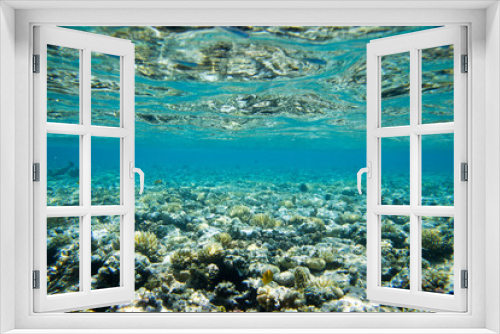 Fototapeta Naklejka Na Ścianę Okno 3D - Underwater world panorama. Coral reef ocean light under water