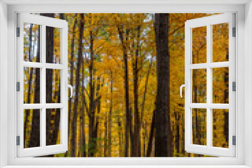 Fototapeta Naklejka Na Ścianę Okno 3D - Autumn Trail Vertical