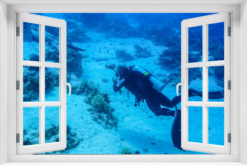 Fototapeta Naklejka Na Ścianę Okno 3D - Coral reef at the Red Sea, Egypt